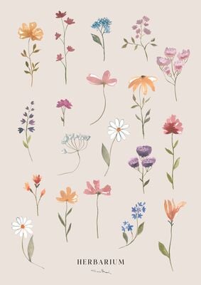 Kaverini Herbarium juliste 50x70 cm